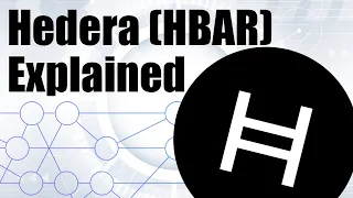 Hedera (HBAR) Explained - What is Hedera & The Hashgraph System? - Everything You Need To Know