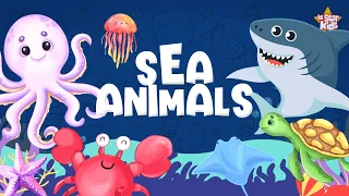 Learn Ocean Animal Names - Sea Animal Videos | Learning ABC - beStar Kids
