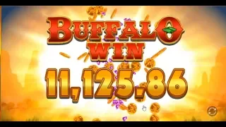 Покупаем бонуски в Buffalo по 1000р