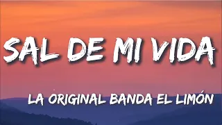 Sal de Mi Vida - La Original Banda El Limón (Letra/Lyrics)