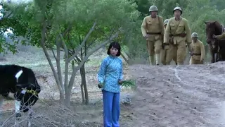【Full Movie】Japanese troops chase a cowherd girl, unaware that she's a anti-Japanese master.