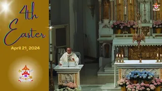 4th Sunday Of Easter - April 21, 2024 - Basilica of Our Lady Immaculate