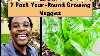 7 FAST GROWING SURVIVAL VEGETABLES TO GROW YEAR-ROUND AT HOME IN A CRISIS | SOUTH AFRICAN GARDEN