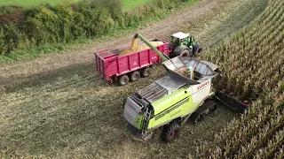 CLAAS LEXION 770TT (12 Reiher) bei der Körnermaisernte / Ulrich Widmer KG / Altmark / 2021 / 4K