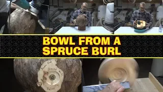 Spruce Burl Bowl