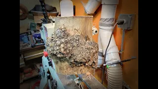 Woodturning - The Elm Burl