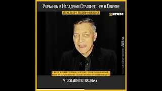 Невзоров Украинцы в нападении страшнее чем в обороне