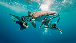 🇵🇭 We FINALLY found whale sharks In Oslob, Philippines