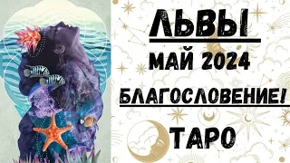 ЛЕВ♌ТАРО ПРОГНОЗ на МАЙ 2024