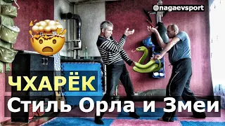 Чхарёк / Стиль Орла и Змеи 🐍