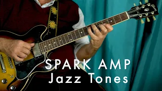 Positive Grid Spark Amp - Spark amp JAZZ