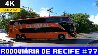 #77 Movimentação De Ônibus Na Rodoviária De Recife Em 23/05/24