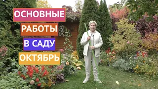 НЕ ЗАБУДЬТЕ СДЕЛАТЬ ЭТО В САДУ В ОКТЯБРЕ