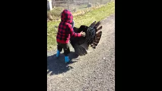 Turkey hug