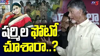 Chandrababu Naidu Latest Comments On YS Sharmila | Slams CM YS Jagan | TV5 News