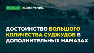 Достоинство совершения большого числа земных поклонов в дополнительных намазах | Абу Яхья Крымский