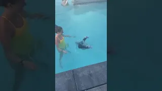 Baby swimming