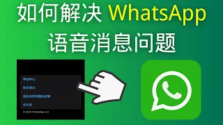 如何解决 WhatsApp 语音消息问题 (2024)