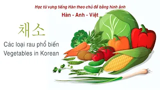 Từ vựng tiếng Hàn theo chủ đề: 채소 - Vegetables - Rau củ