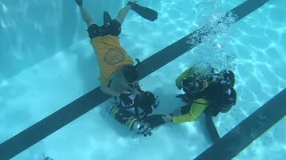 Dive School Pool Hits 19-80-2c