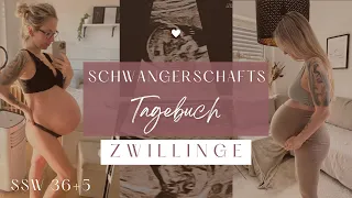 OP Planung Kaiserschnitt Zwillinge | Anästhesie TAP-Block | 37. SSW | EverydayStoryVLOG