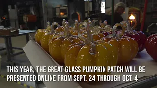 Great Glass Pumpkin Patch