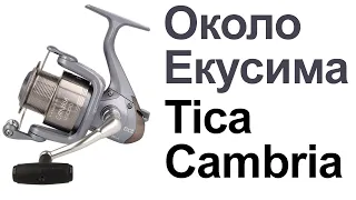 Tica Cambria LD | Около Екусима | Обзор + Разбор Катушки