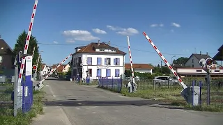 Spoorwegovergang Rœschwoog (F) // Railroad crossing // Passage à niveau