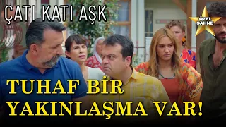 Asaf, Bu Aileyi Dağıtacak Mı?  -  Çatı Katı Aşk Özel Klip