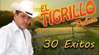 Corridos Pesados - El Tigrillo Palma || 30 Exitos