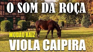 VIOLA CAIPIRA - O SOM DA ROCA - SERTANEJO RAIZ - MODA DE VIOLA - MODÃO RAIZ 🎶