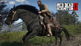 O DOMADOR DE CAVALOS parte 04 - DOMANDO um CAVALO NEGRO - Red Dead Redemption 2