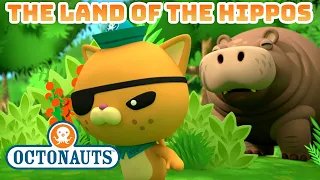 ​@Octonauts - Land of the Hippos 🦛 | Go Wild Month 🐯 | Compilation | @OctonautsandFriends