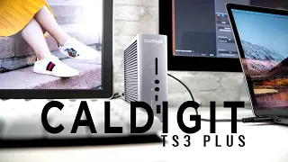 CalDigit Thunderbolt™ Station TS3 Plus dock: Reclaim your ports | REVIEW