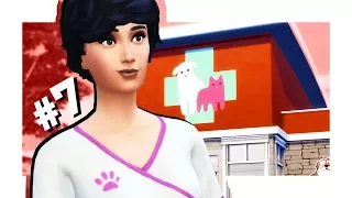 The Sims 4 Кошки и собаки #7 ВЕТКЛИНИКА!