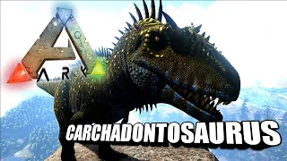 Taming A Carchadontosaurus | Ark Survival Evolved | The Island