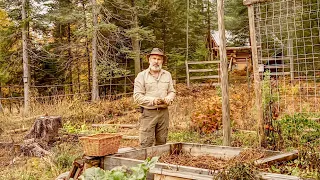 Planting Garlic and Harvesting the Last of the Vegetable Garden, Late October in Canada