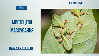 Урок 50. Як організми пристосовуються уникати зустрічі з ворогами або захищатись від них.6 клас. НУШ