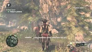 Assassin's Creed IV Black Flag PS4 Gameplay(Геймплей)Авелина RU