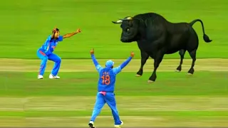 10 Animals In Cricket Ground Moments 😲