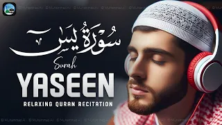 Surah Yasin (Yaseen) | Full With Arabic | Beautiful recitation | یس سورہ | EP222