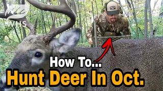 How To Hunt Deer In October