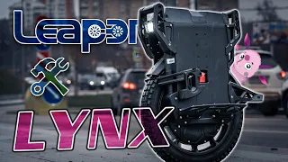 Veteran Lynx. Разбираем