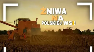 🔥Bizony w Akcji!🔥 |✩ Żniwa na Polskiej Wsi! ✩ (Bizon z056 X2 😯 ) FS19!