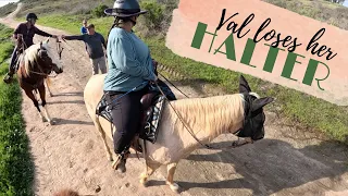 Val Loses Her Halter!