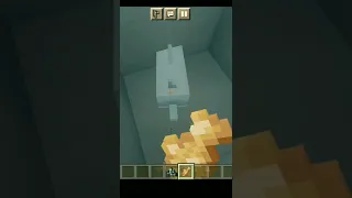 Minecraft: How to Tame Dolphin🤔