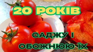 Від яких СОРТІВ ПОМІДОРІВ🍅 🍅 НІКОЛИ НЕ  ВІДМОВЛЮСЬ🥰