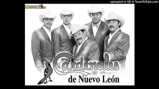 Cardenales de Nuevo Leon-Corazon necio