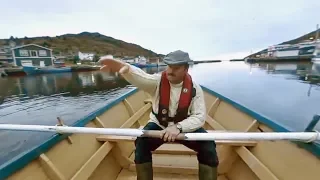 360° Boat Tour in Petty Harbour, Newfoundland and Labrador