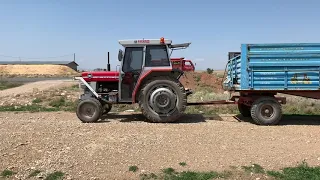 8 TON PERFORMANSI MASSEY FERGUSON 185